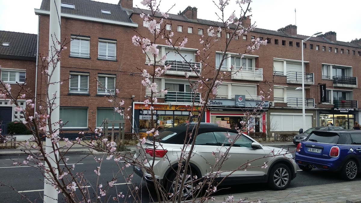 Delater - photo 2